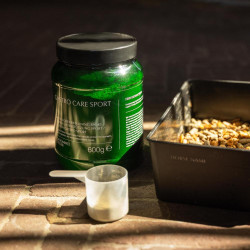 Paarden supplement spijsvertering – Kentucky Gastro Sport Paarden supplement spijsvertering – Kentucky Gastro Sport
