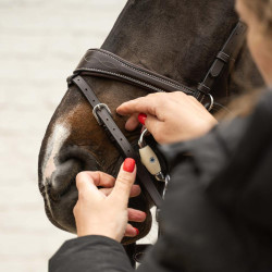 Bustrens Olivensnaffle Flex Soft Velari – paardensportbit Bustrens Olivensnaffle Flex Soft Velari – paardensportbit