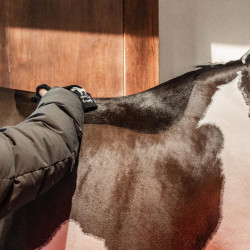 Warme douchegel Amande Grooming Deluxe van Kentucky Amandel Bruin