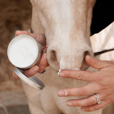 Zonnebrand voor paarden SPF30+ – Kentucky Sunblock Deluxe