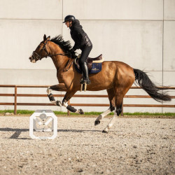 Cavaletti aluminium Square Grooming Deluxe van Kentucky per 2 Wit