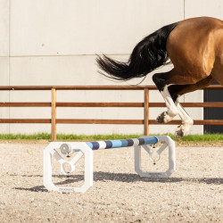 Cavaletti aluminium Square Grooming Deluxe van Kentucky per 2 Wit