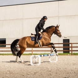 Cavaletti aluminium Square Grooming Deluxe van Kentucky per 2 Wit