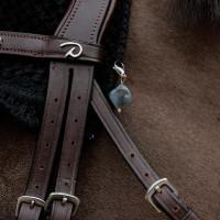 Pierre Lucky Charm Kentucky Zwart