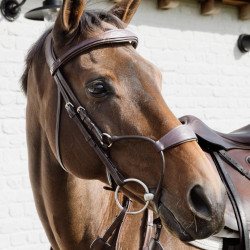 Dy'on hybride neusriem New English – paardensport