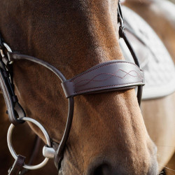 Dy'on hybride neusriem New English – paardensport
