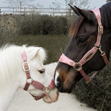 Paardenhalster velvet glitter Eenhoorn Kentucky – Equi-Clic