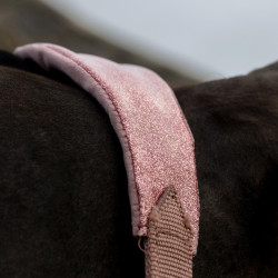 Paardenhalster velvet glitter Eenhoorn Kentucky – Equi-Clic