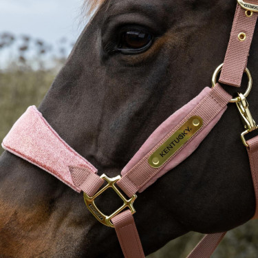 Paardenhalster velvet glitter Eenhoorn Kentucky – Equi-Clic