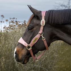 Paardenhalster velvet glitter Eenhoorn Kentucky – Equi-Clic