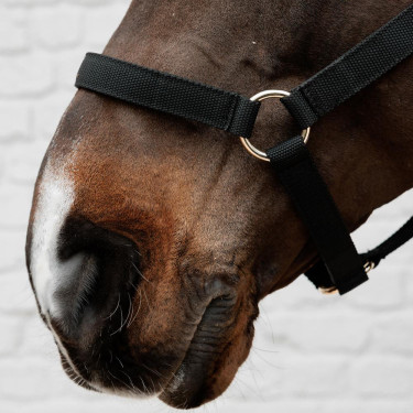 Kentucky nylon halster voor paardrijden | Equi-Clic