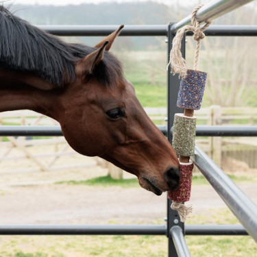 Paarden speelgoed hout De-Stress – natuurlijk kalmerend Paarden speelgoed hout De-Stress – natuurlijk kalmerend