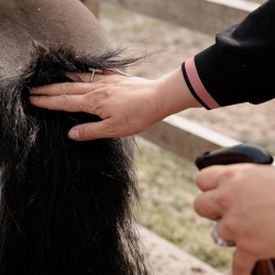 Paardenverzorging: Itch Stop Plus spray tegen jeuk