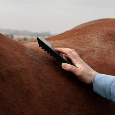 Stalen roskam voor paarden – Grooming Deluxe | Equi-Clic