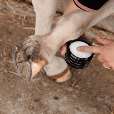 Paardenverzorging: Anti-schurft moddercrème Plus – Equi-Clic