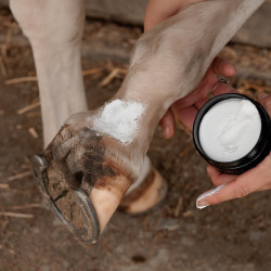 Paardenverzorging: Anti-schurft moddercrème Plus – Equi-Clic