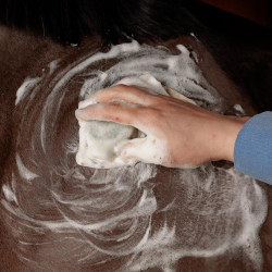 Vast Shampoo Grooming Deluxe van Kentucky Propolis Multicolor
