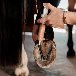 Zinkpasta voor paardenhoeven – Kentucky Equi Hoof Zinkpasta voor paardenhoeven – Kentucky Equi Hoof