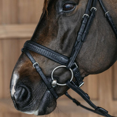 Neusriem paard rijden gevlochten Dy’on New English Neusriem paard rijden gevlochten Dy’on New English