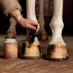 Voetolie Shine Grooming Deluxe van Kentucky Natuurlijk Bruin