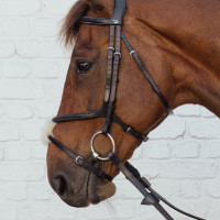 Gevlochten kruisneusriem New English Collection Dy'on Zwart