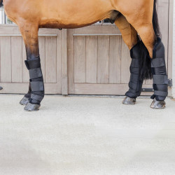 Stable boots PROtect voor voorbenen lange versie Kentucky Zwart