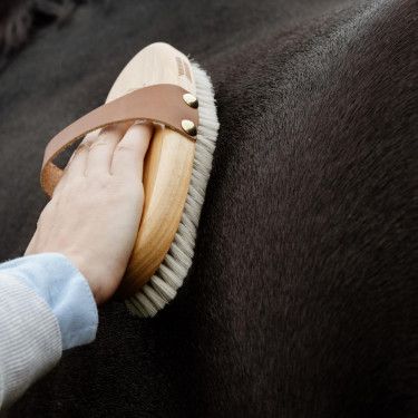 Paardenborstel voor grooming – Zachte Deluxe borstel
