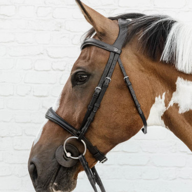 Anatomische Neusriem Zonder Kinriem New English Collection Dy'on Zwart