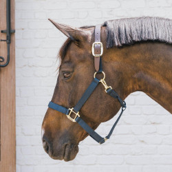 Veilig paardenhalster met breekpunt - Kentucky