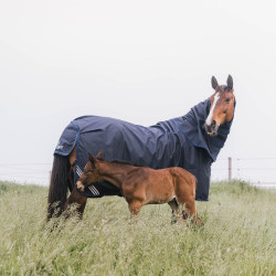 Waterdichte Regendeken voor Paarden - Kentucky Waterdichte Regendeken voor Paarden - Kentucky