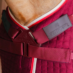 Thermisch zweetdeken voor paarden - PROtherm Thermisch zweetdeken voor paarden - PROtherm