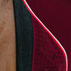 Thermisch zweetdeken voor paarden - PROtherm Thermisch zweetdeken voor paarden - PROtherm