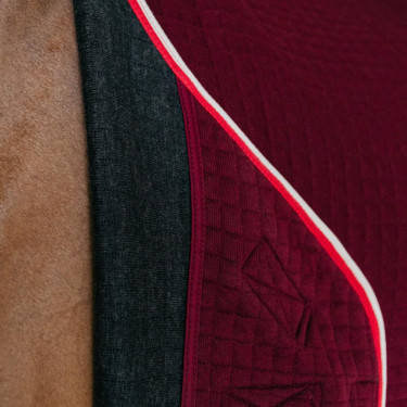 Thermisch zweetdeken voor paarden - PROtherm Thermisch zweetdeken voor paarden - PROtherm