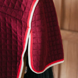 Thermisch zweetdeken voor paarden - PROtherm Thermisch zweetdeken voor paarden - PROtherm