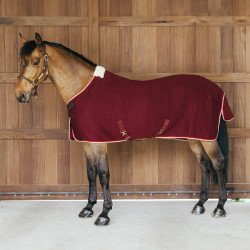Thermisch zweetdeken voor paarden - PROtherm Thermisch zweetdeken voor paarden - PROtherm
