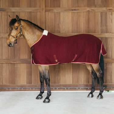 Thermisch zweetdeken voor paarden - PROtherm Thermisch zweetdeken voor paarden - PROtherm