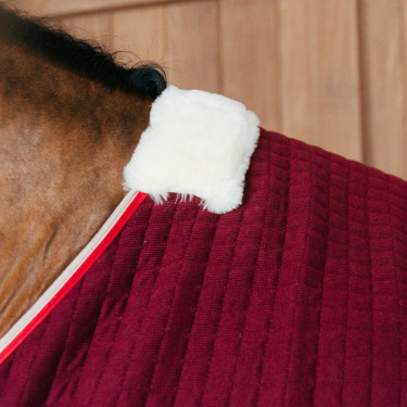 Thermisch zweetdeken voor paarden - PROtherm Thermisch zweetdeken voor paarden - PROtherm