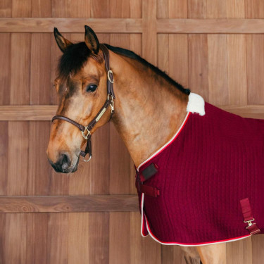 Thermisch zweetdeken voor paarden - PROtherm Thermisch zweetdeken voor paarden - PROtherm