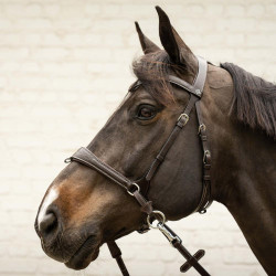 Anatomisch hoofdstel voor eventing & jumping Anatomisch hoofdstel voor eventing & jumping