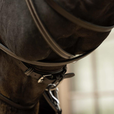 Anatomisch hoofdstel voor eventing & jumping Anatomisch hoofdstel voor eventing & jumping