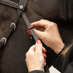 Anatomisch hoofdstel voor eventing & jumping Anatomisch hoofdstel voor eventing & jumping
