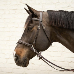 Anatomisch hoofdstel voor eventing & jumping Anatomisch hoofdstel voor eventing & jumping
