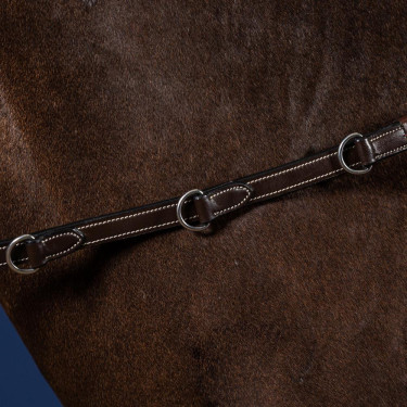 Teugels voor spring- & eventingruiters van Dy'on