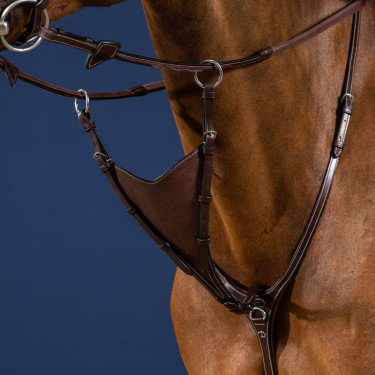 Volledige Soepele Martingaalvork Dy'on US Jumping Bruin