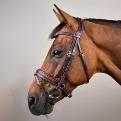 Bridon Dy'on D collectie gecombineerde neusriem gevlochten met Pull Back Bruin