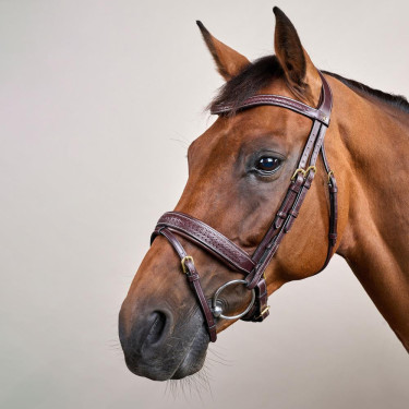 Bridon Dy'on D collectie gecombineerde neusriem gevlochten met Pull Back Bruin