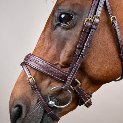 Bridon Dy'on D collectie gecombineerde neusriem gevlochten met Pull Back Bruin