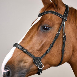 Bitloze hoofdstel zonder bit Dy'on Zwart Bitloze hoofdstel zonder bit Dy'on Zwart