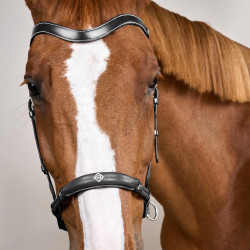 Bitloze hoofdstel zonder bit Dy'on Zwart Bitloze hoofdstel zonder bit Dy'on Zwart