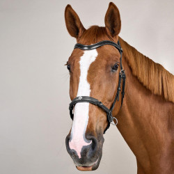 Bitloze hoofdstel zonder bit Dy'on Zwart Bitloze hoofdstel zonder bit Dy'on Zwart